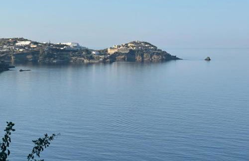 Ligaria Mare - Foto 24