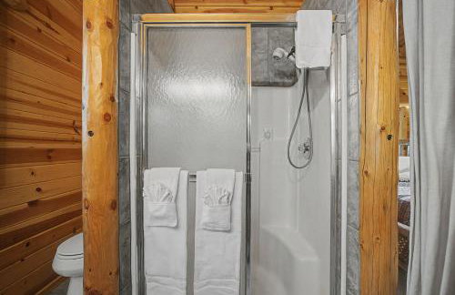 Govy Alpine Getaway - Meredith Lodging - Foto 8