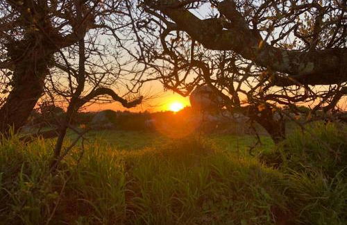 Maison avec SPA côte de granit rose - Foto 40