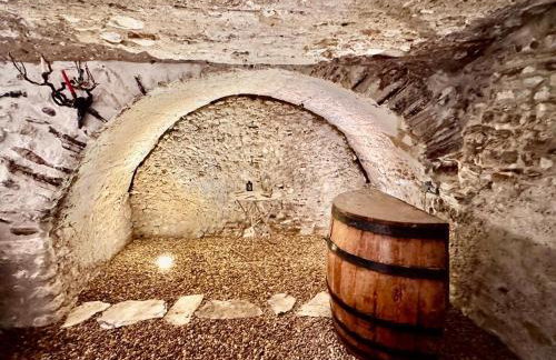 Maison d'Antan, Ambiance chevaleresque Cave voutée - Foto 20