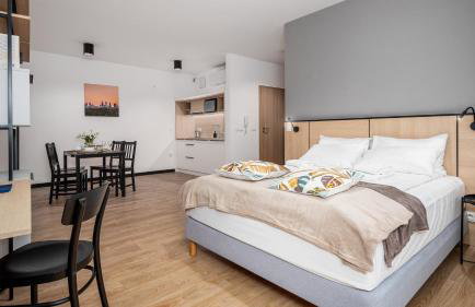 Zamoyskiego, Sun & Snow - Foto 1