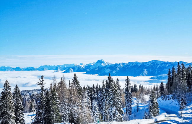 Seezugang & Ski Ossiacher See - Photo 35