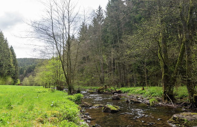 Scenic Stay in Vencimont - Foto 40