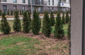 Nowy Apartament przy Onkologii i Politechnice - Foto 23