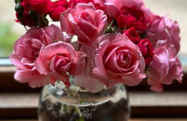 The Granary - Wood Farm Barn. Luxury Barn with wonderful countryside views - Foto 41