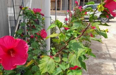 Casa Armonia - Foto 4