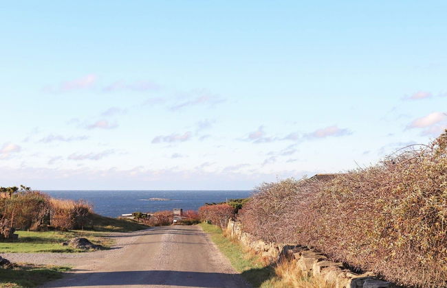 10 Person Holiday Home in Bua - Photo 26