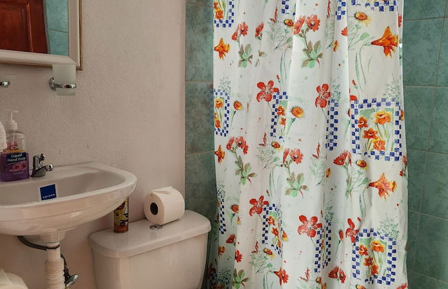 Selvática del Toro - Foto 34