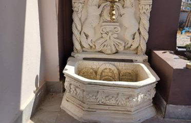 Comfort House Mimosa 1 - Foto 28