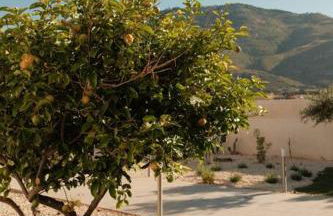 Casa de Campo - Foto 50