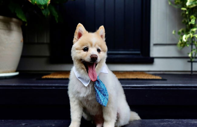 Sweet Creek Cottage, Palm Cove - Foto 28