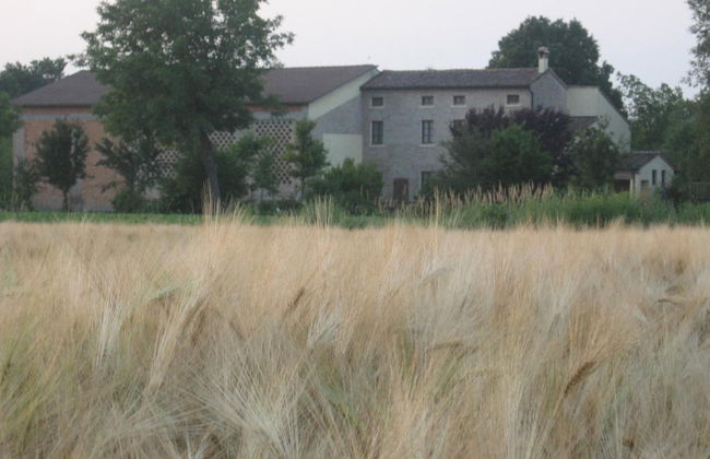 Agriturismo La Rovere - Foto 53