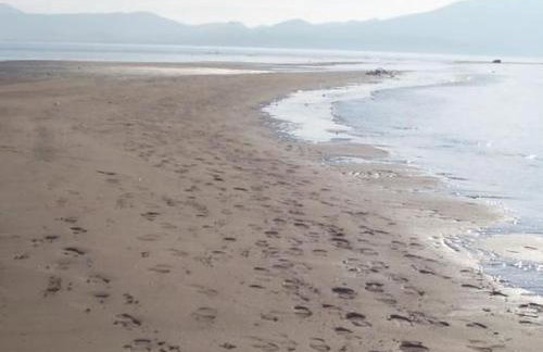 Apartment Ferien apart- für 8 by Interhome - Photo 10