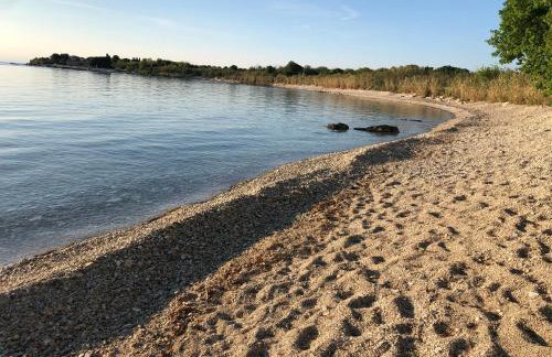 App Sorgo - Photo 47