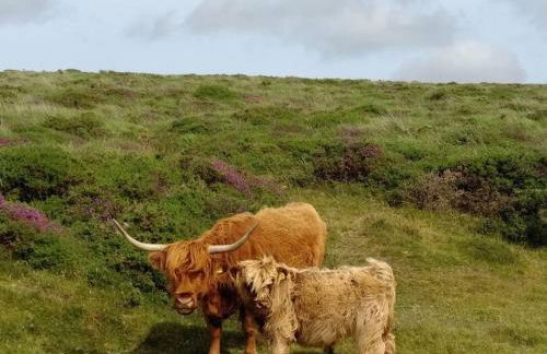 The Dairy - Quaint 1Br in Dartmoor National Park - Foto 13