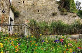 Ropewalk Cottage - A Little Treasure By The Coast - Foto 49