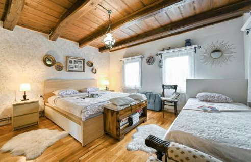 Cozy Home In Kupljenovo - Foto 5