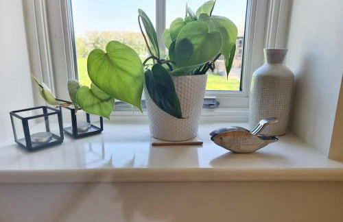 Brisley North Norfolk cosy cottage garden pub and walks - Foto 8