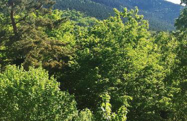 Appartement 1 chambre terrasse et piscine - Foto 8