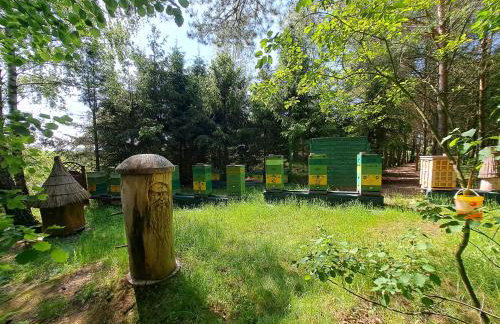 Dolina Miodu - Agro Kaszuby, Sauna, Balia - Foto 33