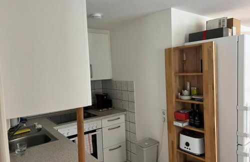 Bachrauschen im Dreisamtal - Foto 10