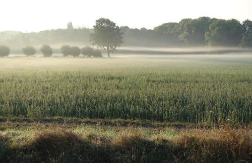 Landhaus Arcadia in Paretz - Foto 23