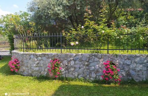 Mary Rose Apartments - Foto 7