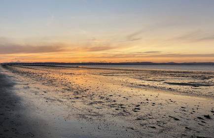 Coração da Vila - Foto 30