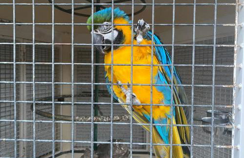 Quinta da Paz Azores - Photo 14