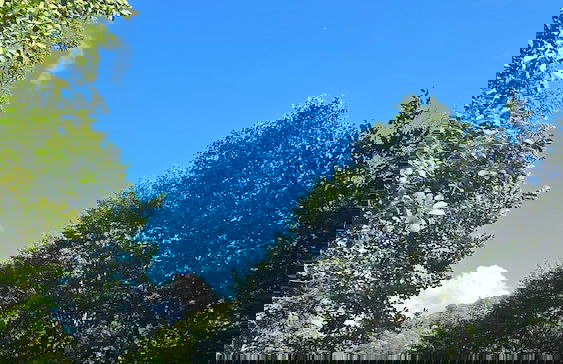 Baraka bungalov - Foto 53