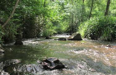 Gîte en bord d'étang et de rivière - Foto 23