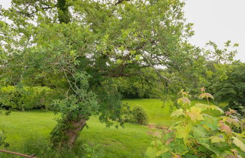 Mallows Byre - Foto 52