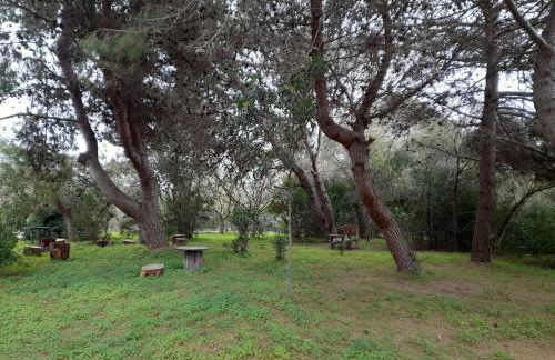 Casetta MaCa fronte mare - Foto 52