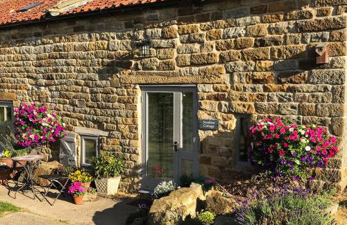 Swallow Cottage - Foto 12