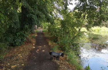 Duplex cozy - Foto 22