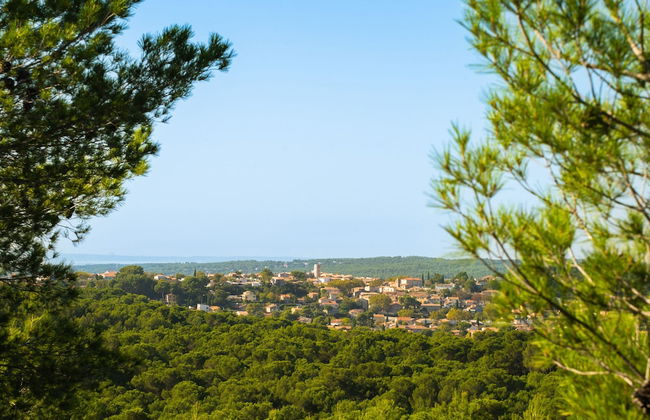 Sous les platanes - Foto 34