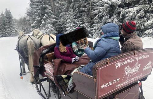 Fachwerkhaus im Sauerland - Goldhase Anno 1700 - Foto 63