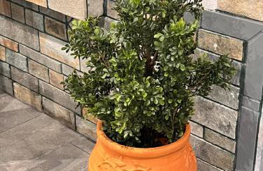 Bright-living - Foto 10