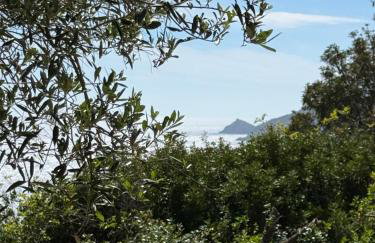 La roche aux mouettes Ile du Levant - Foto 55