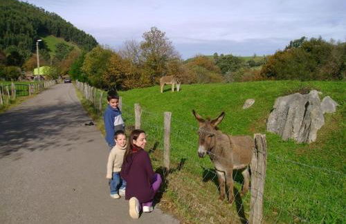 Los Acebos de Peña Cabarga, Cúpula experiencias - Foto 8
