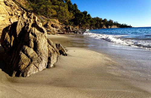 le verger des naiades - Foto 49