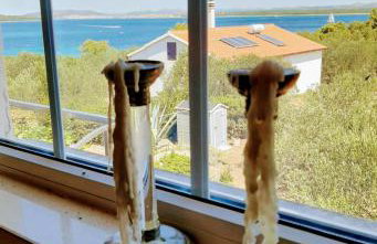 Holiday Home Subasic - Photo 37