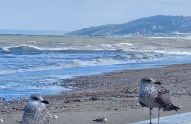 Plazza front de Mer - Photo 42