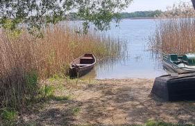 Siedlisko na łące - Foto 59