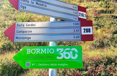 CASA CARCENTINA - fronte seggiovia, sulla pista Stelvio - Foto 53