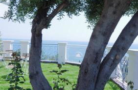 Talia Residence - Photo 114