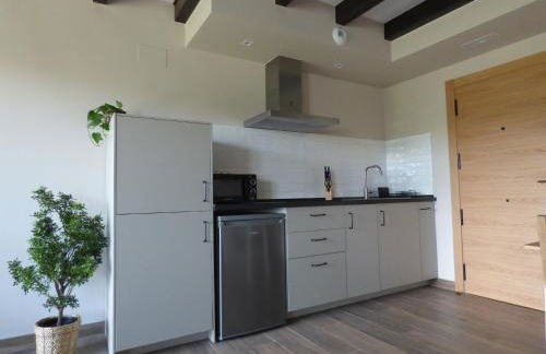 Apartamentos Casa Reconco - Foto 54