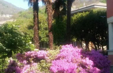 Casa Orisca - Foto 16