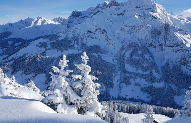 Lärchehuus - Foto 21