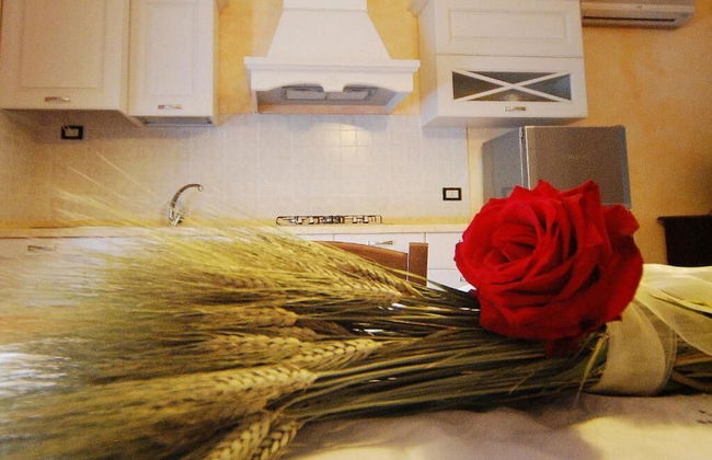 Agriturismo Villa Toscana - Foto 12